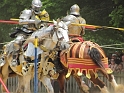 SFaire_1400Joust (51)